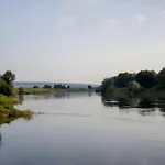 Alter Weserhof Forst
